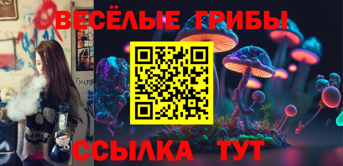 Конаково  Галлюциногенные грибы GOLDEN TEACHER  Вход с VPN  Галлюциногенные грибы ЛСД 