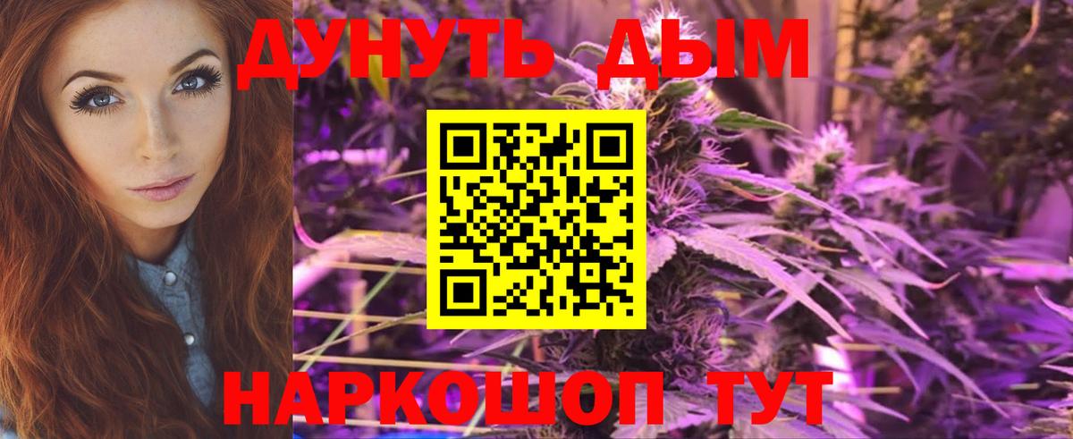 Марихуана сатива Конаково
